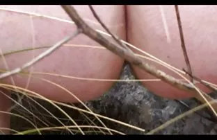 Video Sex mit großen ...