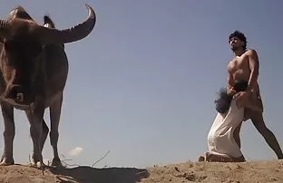 Busty wichst Schwanz