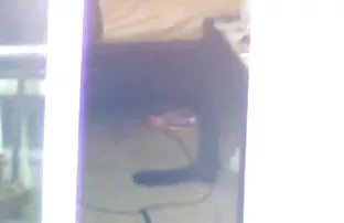 Brutale Vergewaltigu ...